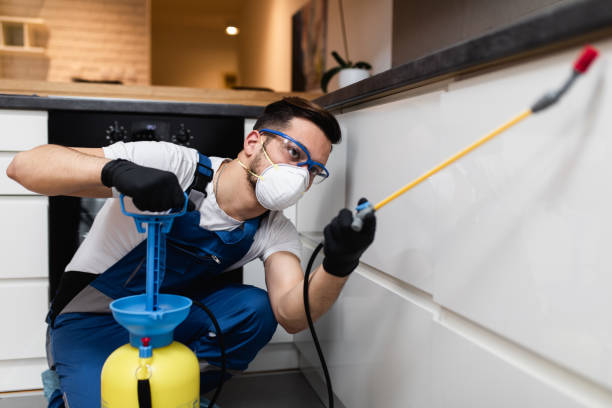 Trusted Sibley, IA Pest Control Experts
