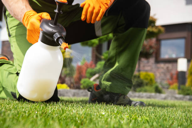 Best Best Pest Control Companies  in Sibley, IA