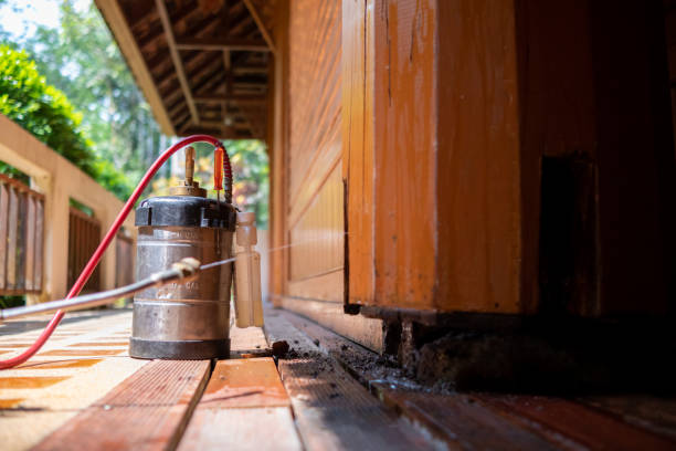 Best Mosquito Control Services  in Sibley, IA