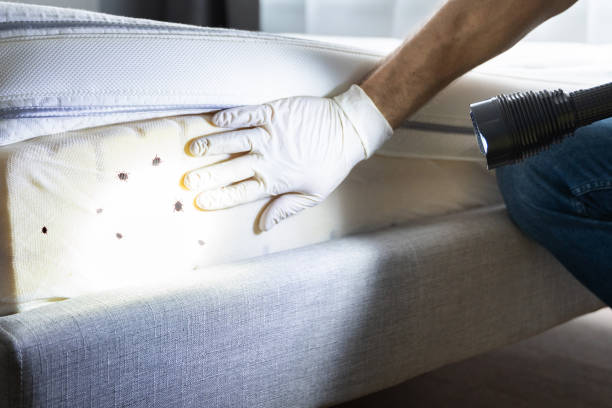 Best Best Pest Control Companies  in Sibley, IA