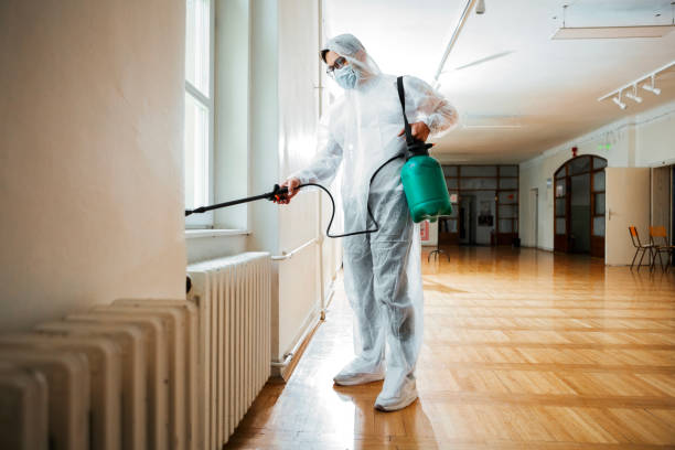 Best Flea Control Services  in Sibley, IA