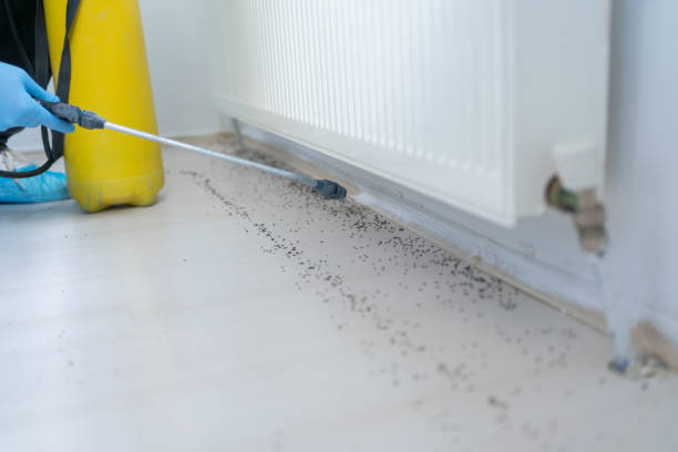 Best Affordable Pest Control Services  in Sibley, IA
